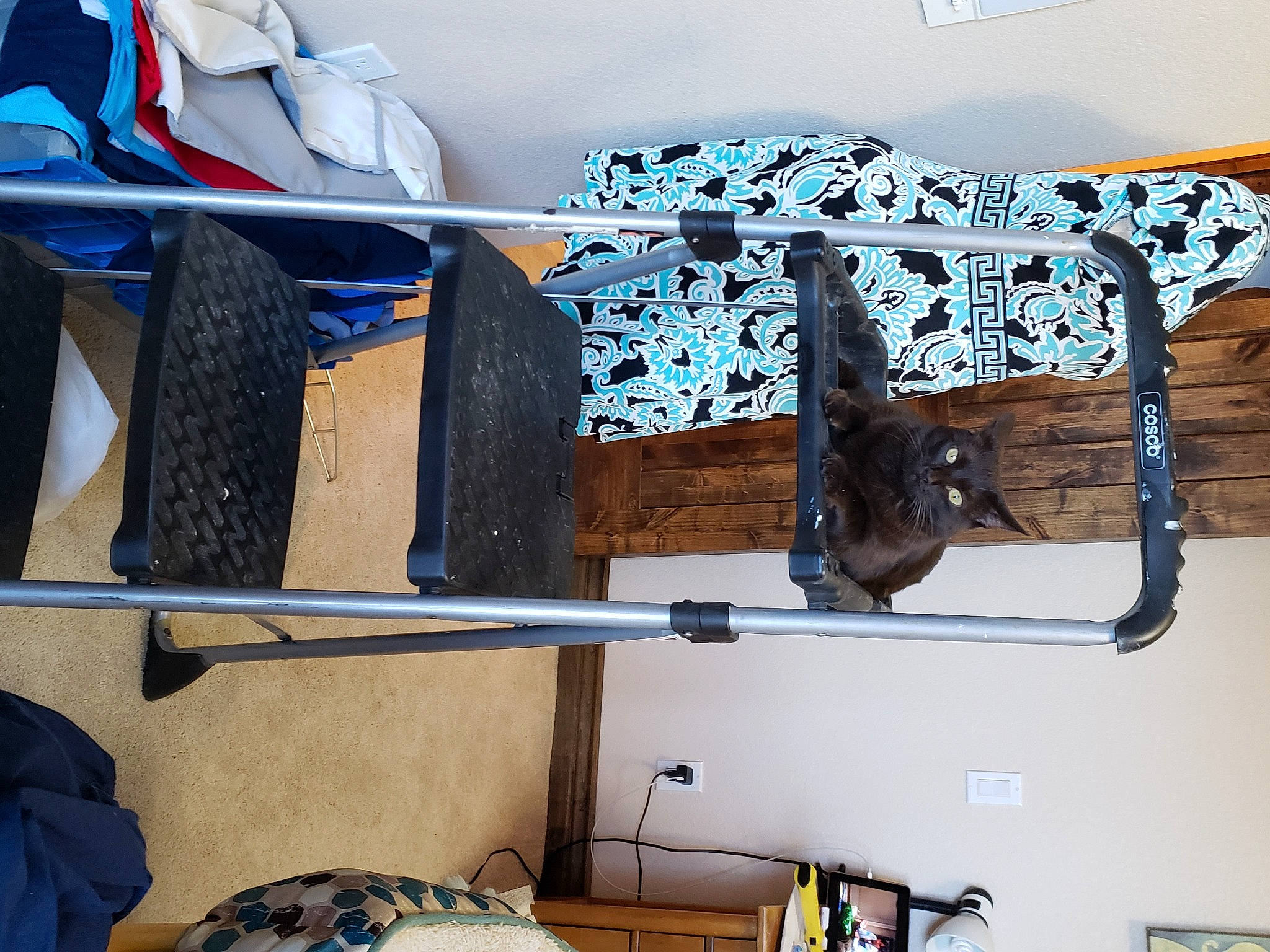 Coco Chanel is registered to the contest to win money with this photo: art, bag, blue, cap, carmine, closet, denim, electric_blue, fashion_accessory, font, hat, pattern, personal_protective_equipment, room, shoe, sleeve, sportswear, textile, visual_arts, wood