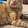 Tigger