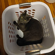 Smokey Raymond joined the competition — help win amazing prizes!