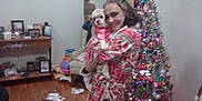 Cinnamon Aka Mini is registered to the contest to win money with this photo: woman, dog, christmas_tree, indoor, wooden_floor, holiday_decorations, festive, smiling, robe, pet, lights, furniture, blanket, cross, picture_frames, chair, living_room, cozy, home, celebration