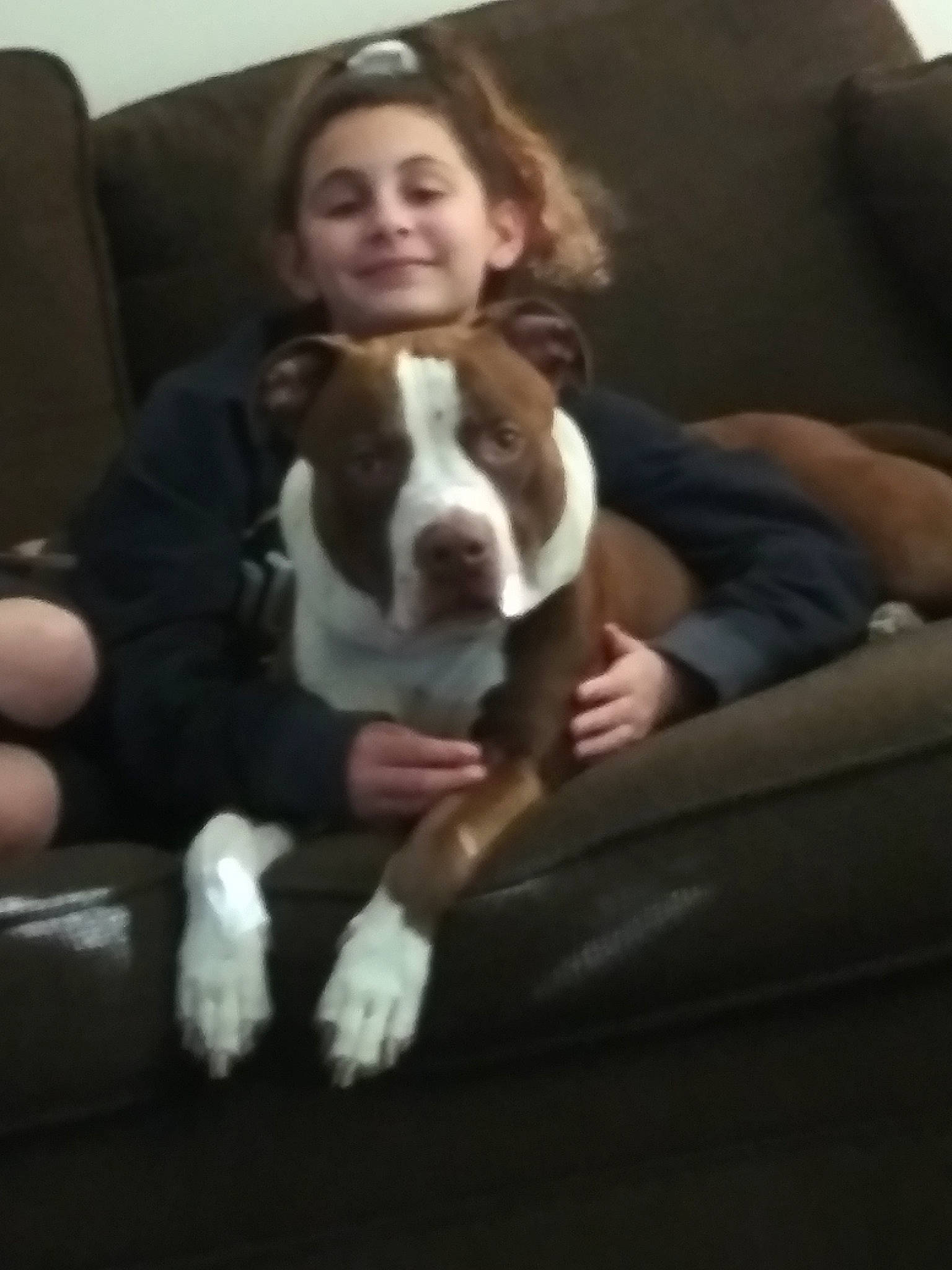 Jayla joined the competition — help win amazing prizes! american_bulldog, american_pit_bull_terrier, american_staffordshire_terrier, bulldog, canidae, carnivore, companion_dog, dog, dog_breed, ear, fawn, joy, mammal, non_sporting_group, person, pit_bull, puppy_love, sporting_group, vertebrate