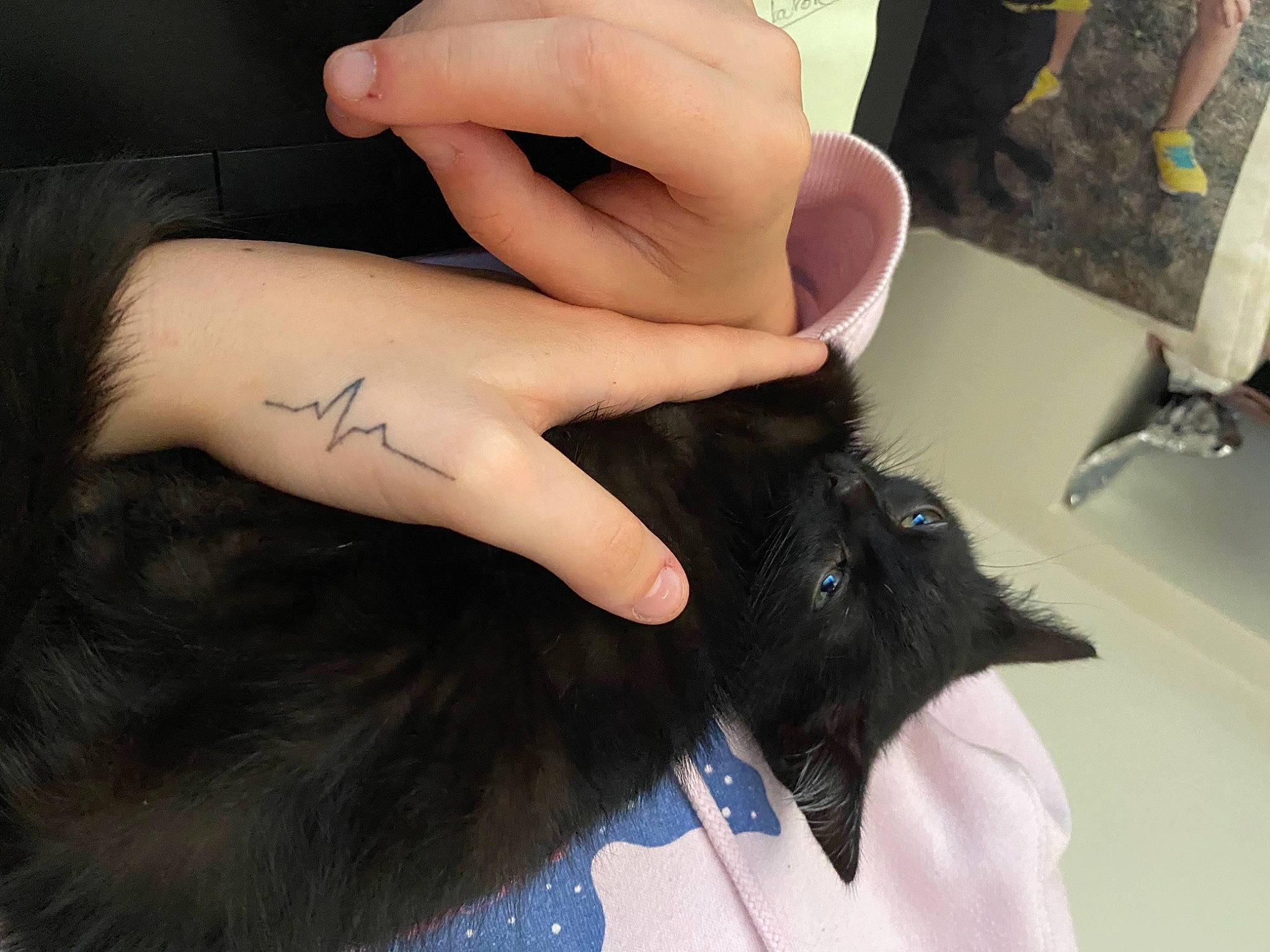 Wolverine participe au concours pour gagner de l'argent avec cette photo : arm, black_hair, carnivore, comfort, companion_dog, dog_breed, elbow, felidae, finger, gesture, human_body, human_leg, knee, long_hair, nail, neck, small_to_medium_sized_cats, thigh, thumb, wrist