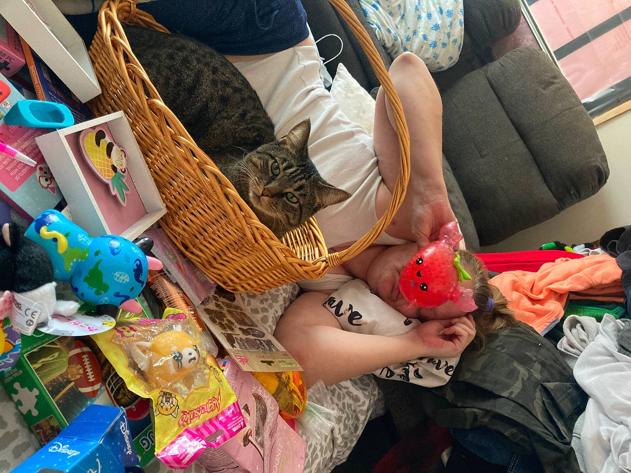 Mittens joined the competition — help win amazing prizes! bag, city, comfort, eyewear, fashion, fashion_accessory, fashion_design, human_leg, knee, luggage_and_bags, market, nail, pattern, selling, shopping, street_fashion, t_shirt, textile, thigh, wrist