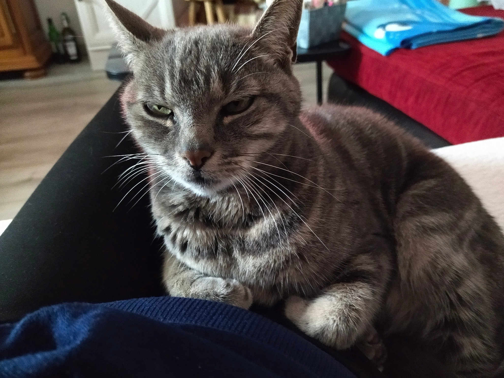 Gina