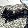 black_and_white, black_cat, cat, cozy, domestic_cat, feline, floor, geometric_pattern, glass_table, home, indoor, lying_down, patterned_rug, pet, relaxed, resting, shadow, shadow_play, sunlight, white_fur