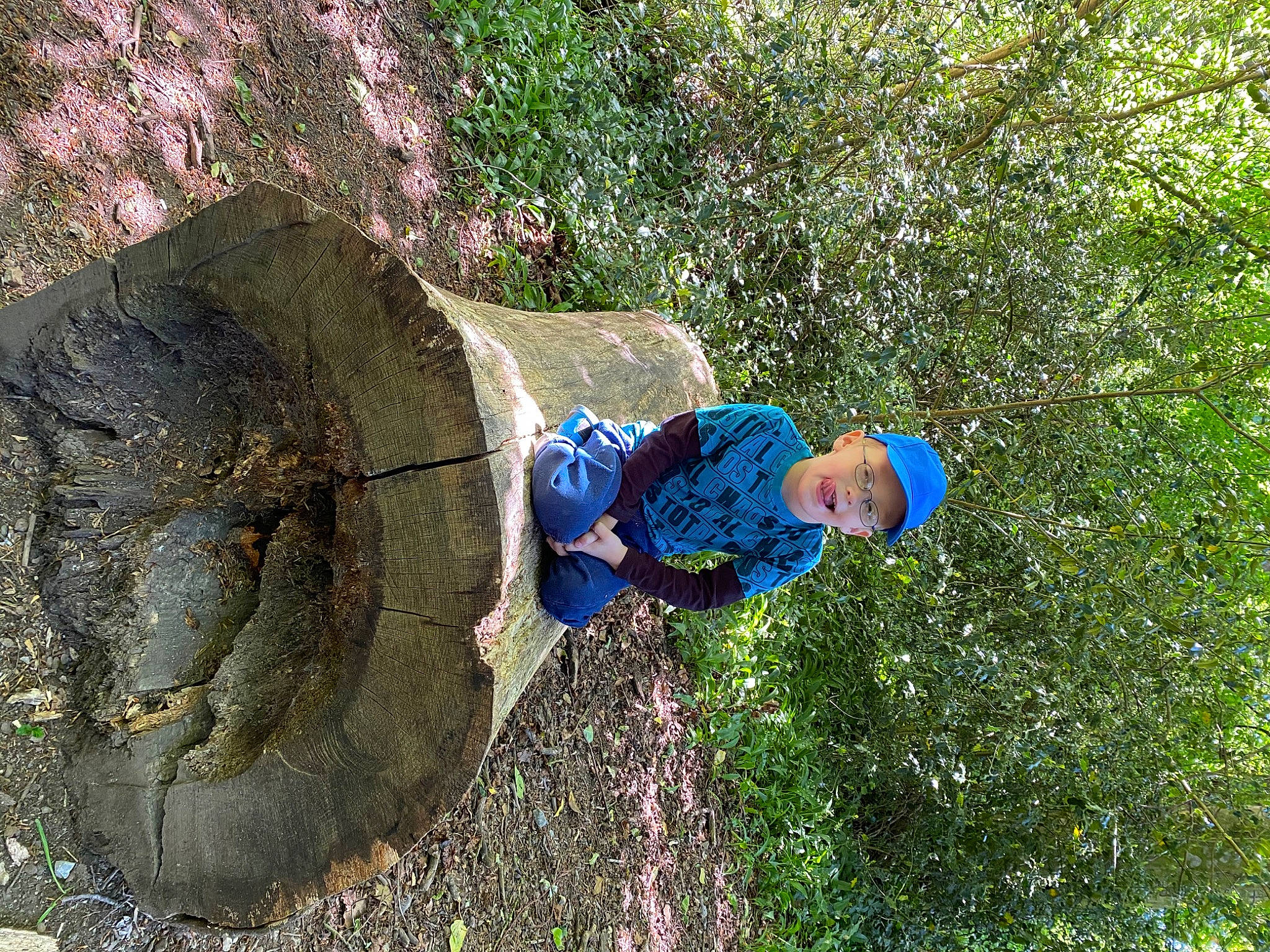 Finlee joined the competition — help win amazing prizes! adventure, bedrock, climbing, geology, headwear, leisure, person, plant, recreation, rock, rock_climbing, sport_climbing, tree