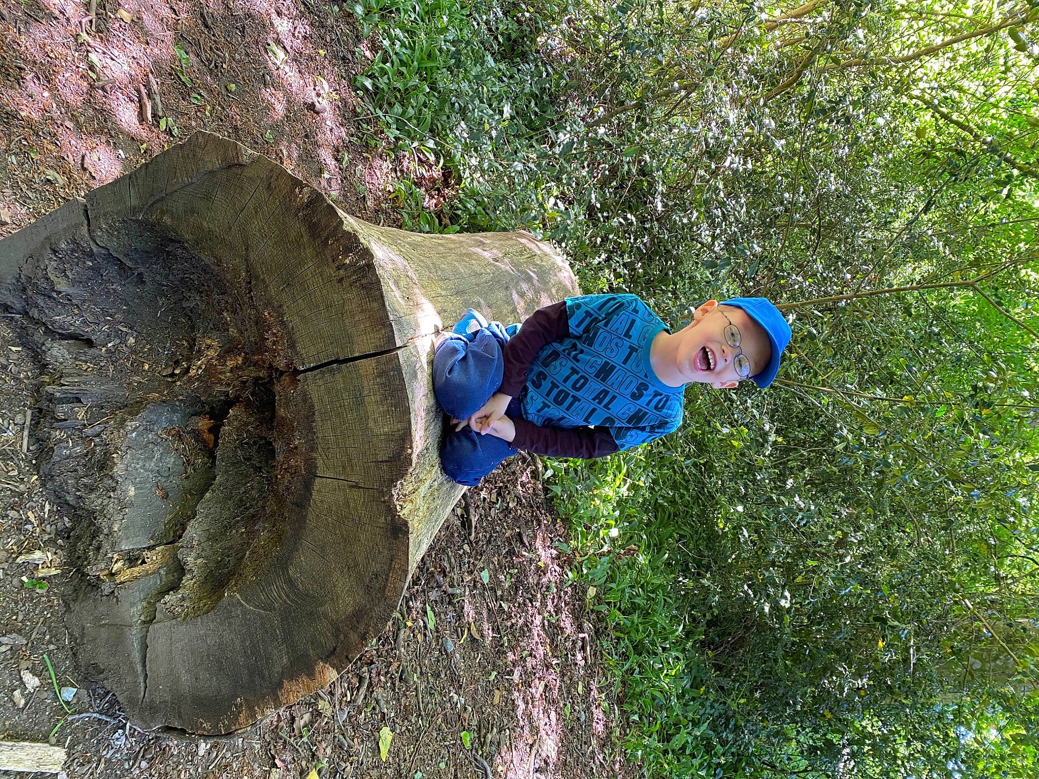 Finlee is registered to the contest to win money with this photo: adventure, forest, geology, headwear, person, plant, recreation, rock, tree, trunk