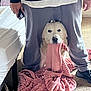 dog, golden_retriever, blanket, person, legs, carpet, bed, indoor, cozy, playful, pet, animal, holding, pink, fabric, casual_clothing, footwear, home, cute, funny_moment