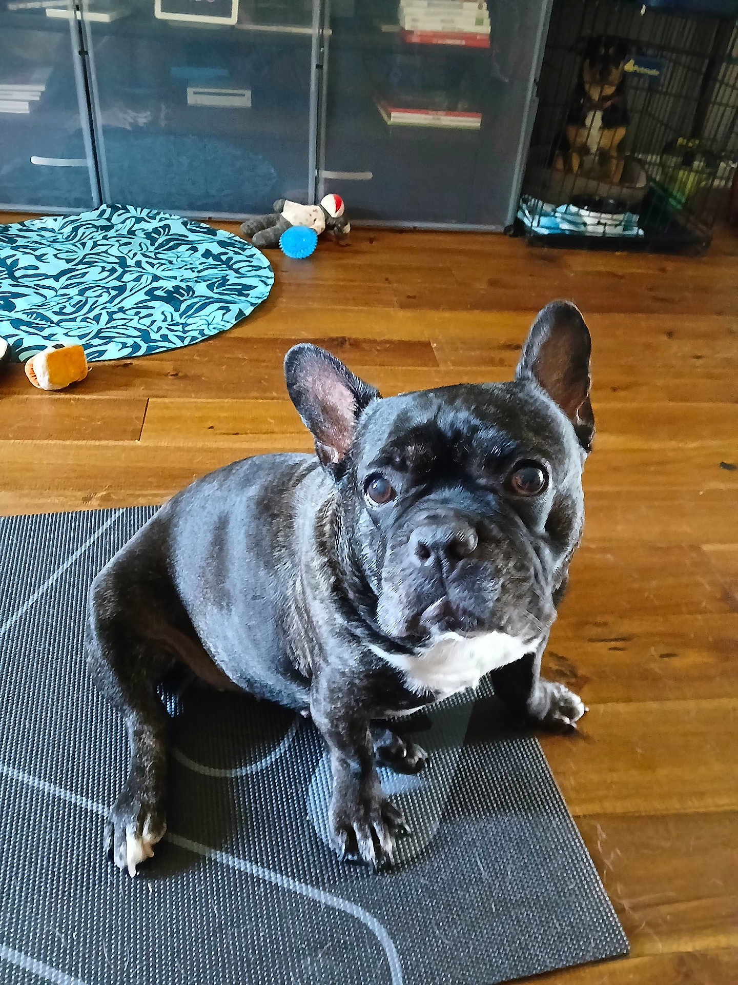 Zoey
