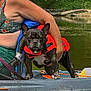 dog, french_bulldog, life_jacket, kayak, water, river, person, swimsuit, outdoor, greenery, summer, pet, animal, adventure, nature, watercraft, canine, sunlight, recreation, active