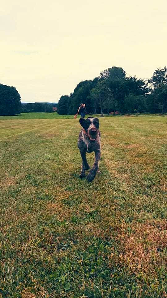 Irka a rejoint le concours — aidez-le/la à gagner de superbes lots ! ball, cloud, gesture, grass, grass_family, grassland, happy, hill, horizon, jeans, landscape, mammal, meadow, natural_landscape, people_in_nature, plain, plant, sky, tints_and_shades, tree