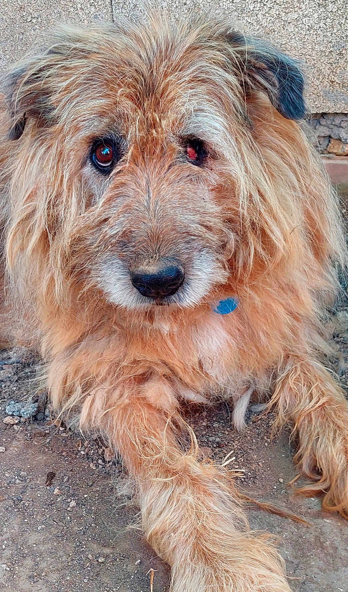 Charly