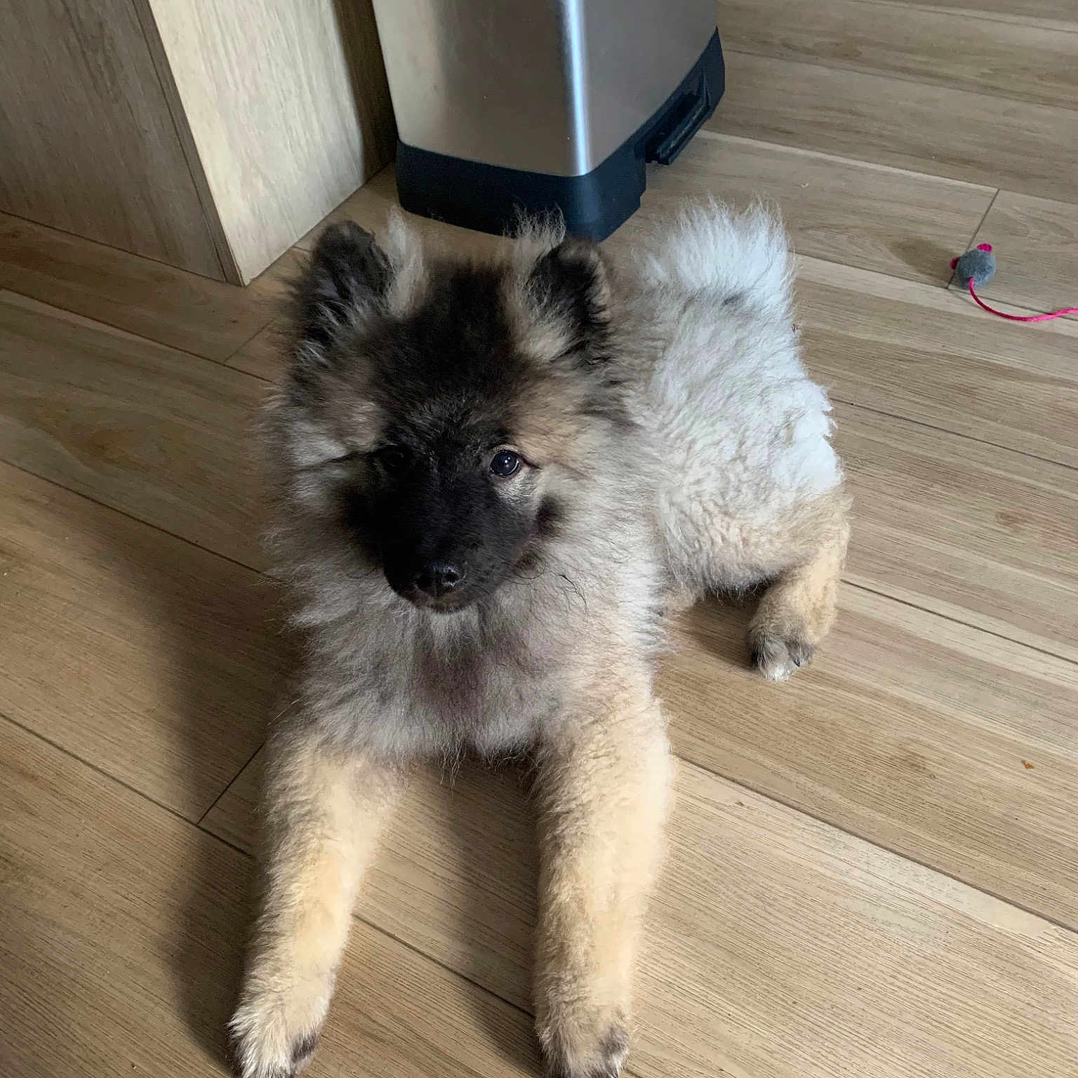 Milo