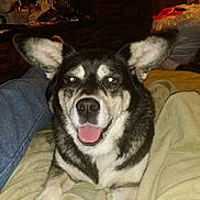 Destiney joined the competition — help win amazing prizes!