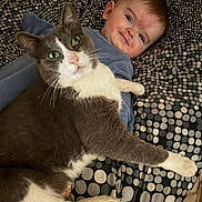 Eloann participe au concours pour gagner de l'argent avec cette photo : animal, baby, blanket, cat, child, comfort, companion, cozy, cute, domestic, face, fur, indoor, lying_down, pet, polka_dot, resting, smiling, whiskers, young_child