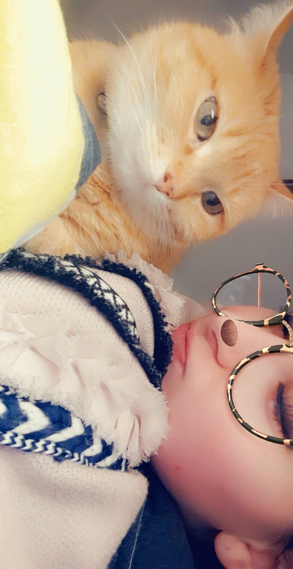 Bichette a rejoint le concours — aidez-le/la à gagner de superbes lots ! carnivore, cat, ear, felidae, fur, kitten, paw, small_to_medium_sized_cats, whiskers