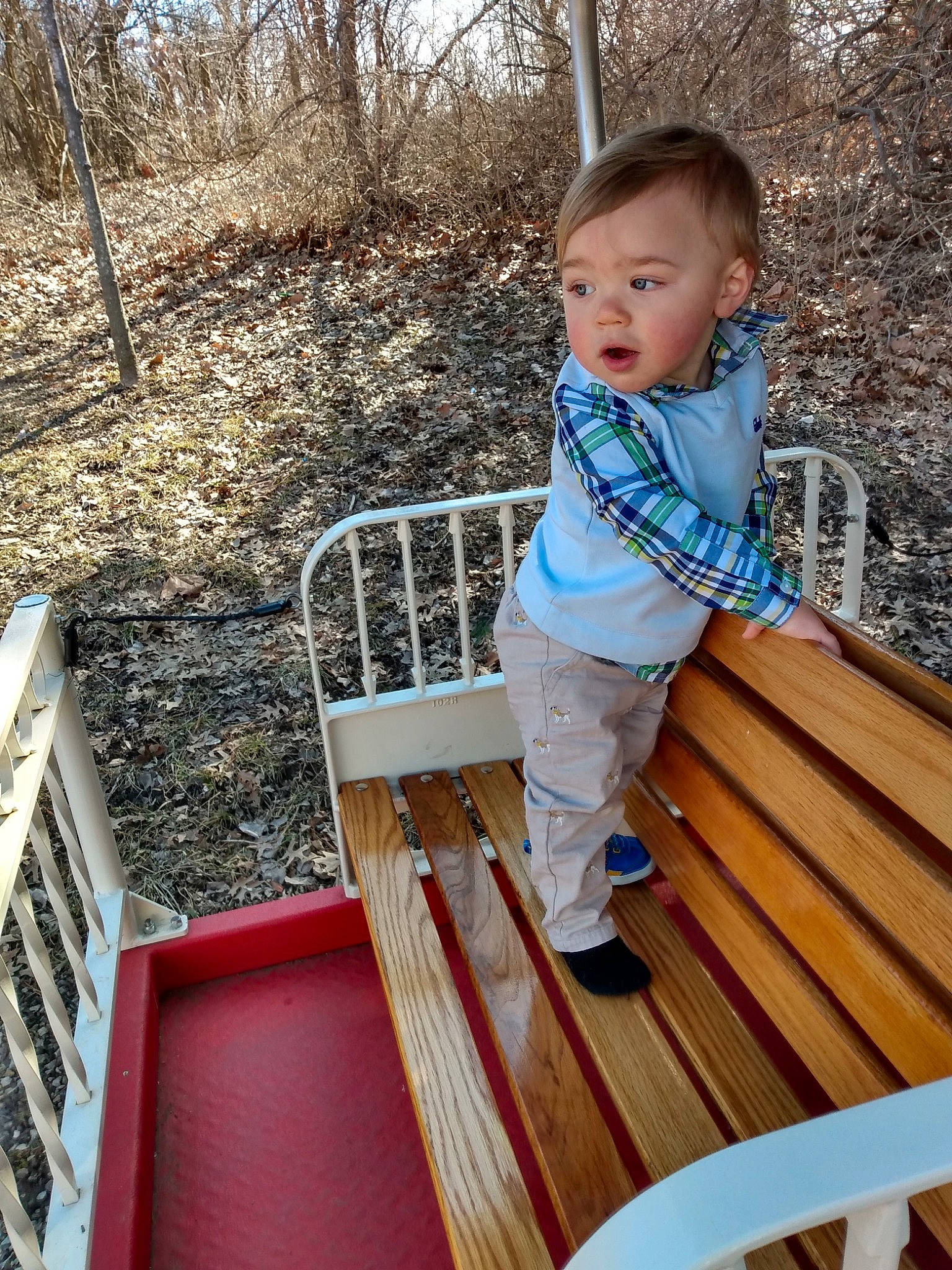 Kadyn is registered to the contest to win money with this photo: baby, child, person, play, smile, surprise, toddler, tree, wood