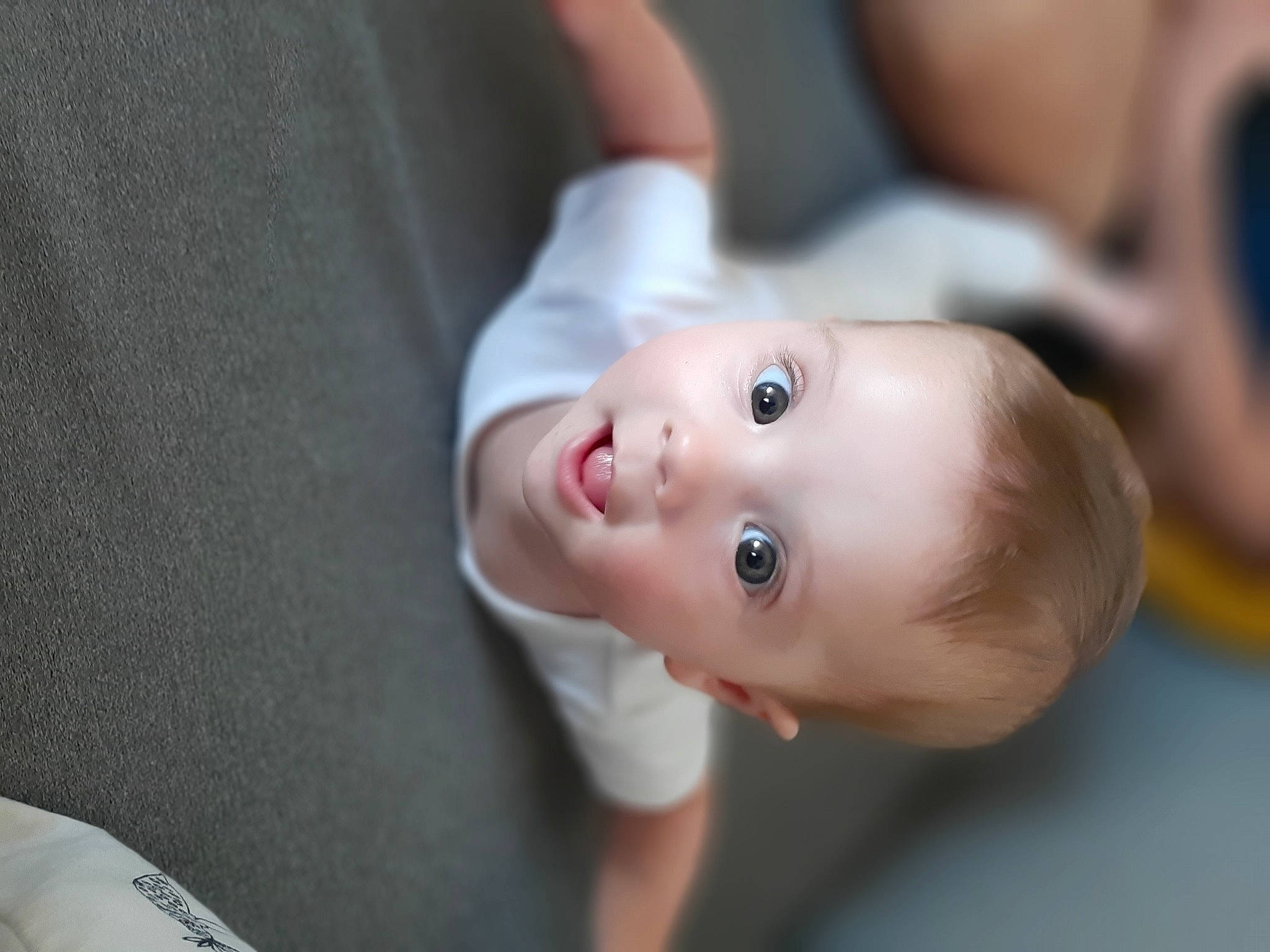 Laya a rejoint le concours — aidez-le/la à gagner de superbes lots ! baby, baby_toddler_clothing, cheek, child, ear, eye, eyebrow, eyelash, flash_photography, fun, happy, iris, lip, mouth, nose, person, sitting, skin, sleeve, smile