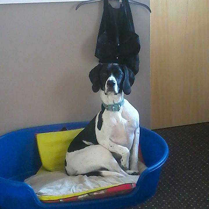 Chance is registered to the contest to win money with this photo: