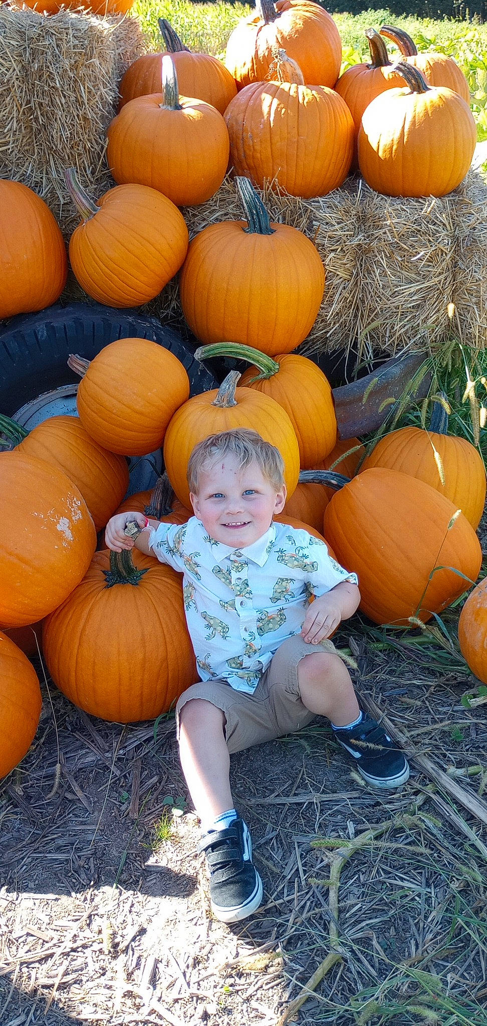 Franklin is registered to the contest to win money with this photo: calabaza, cucurbita, eye, facial_expression, gourd, grass, head, joy, local_food, natural_foods, orange, people, people_in_nature, person, plant, pumpkin, smile, squash, vegetable, whole_food