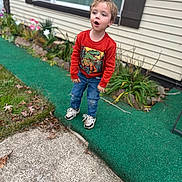 Carter is registered to the contest to win money with this photo: child, boy, orange_sweatshirt, dinosaur_print, jeans, sneakers, sidewalk, green_carpet, garden, plants, flowers, house, window, shutters, outdoor, grass, concrete, expression, curiosity, casual_clothing