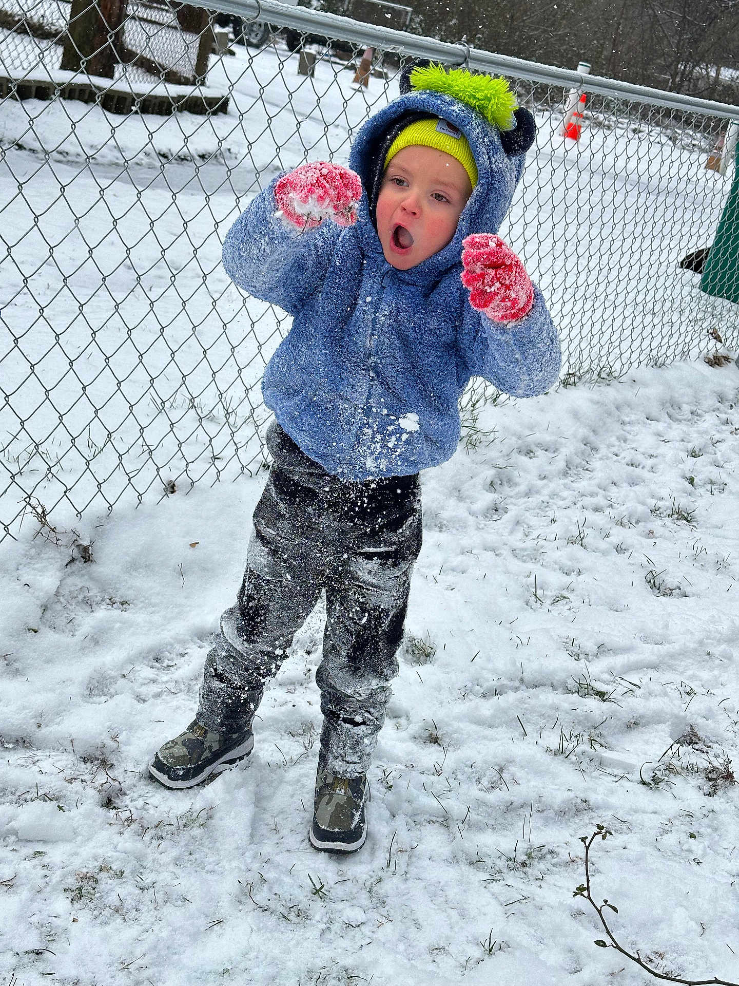 Carter joined the competition — help win amazing prizes! child, snow, winter_clothing, blue_jacket, green_hat, red_gloves, snow_boots, outdoor, snowy_ground, fence, playful, excited, winter, cold, snow_play, expression, young_child, frozen, grass, daylight