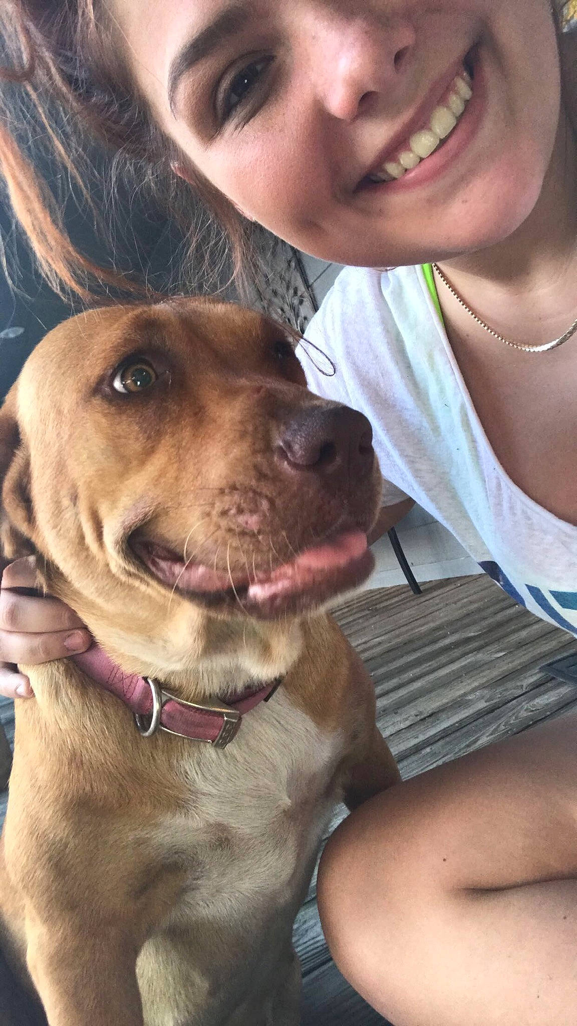 Macie is registered to the contest to win money with this photo: american_pit_bull_terrier, broholmer, dog, dog_breed, dog_breed_group, dog_like_mammal, ear, eye, girl, jaw, joy, labrador_retriever, mouth, nose, organ, person, puppy, puppy_love, selfie, skin