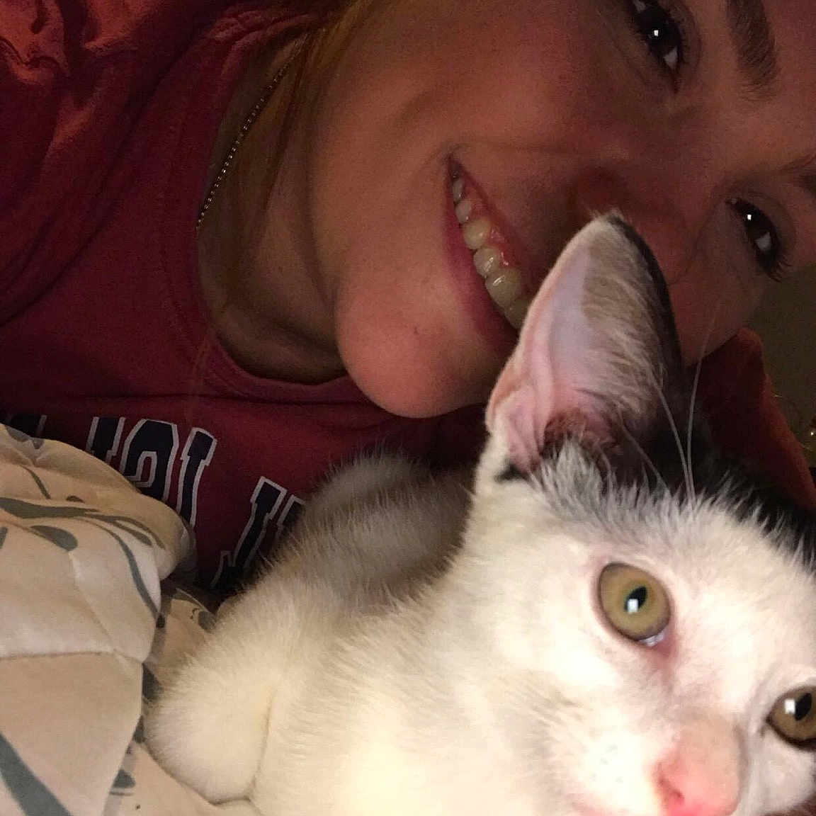 Gracie