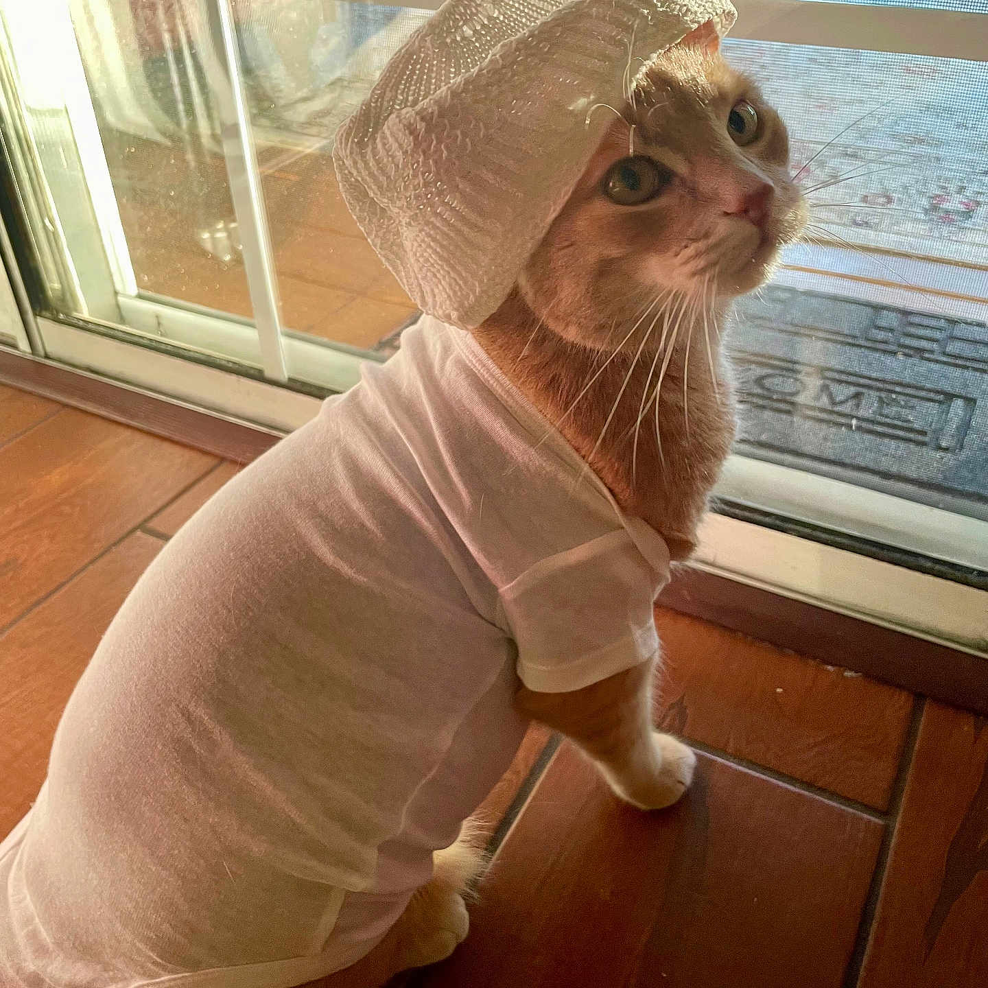 Milo