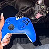black_cat, cat, game_controller, xbox_controller, claw, hand, manicured_nails, long_nails, gaming, expression, wide_eyes, open_mouth, person, fingers, indoor, dark_background, socks, jeans, playing, pet