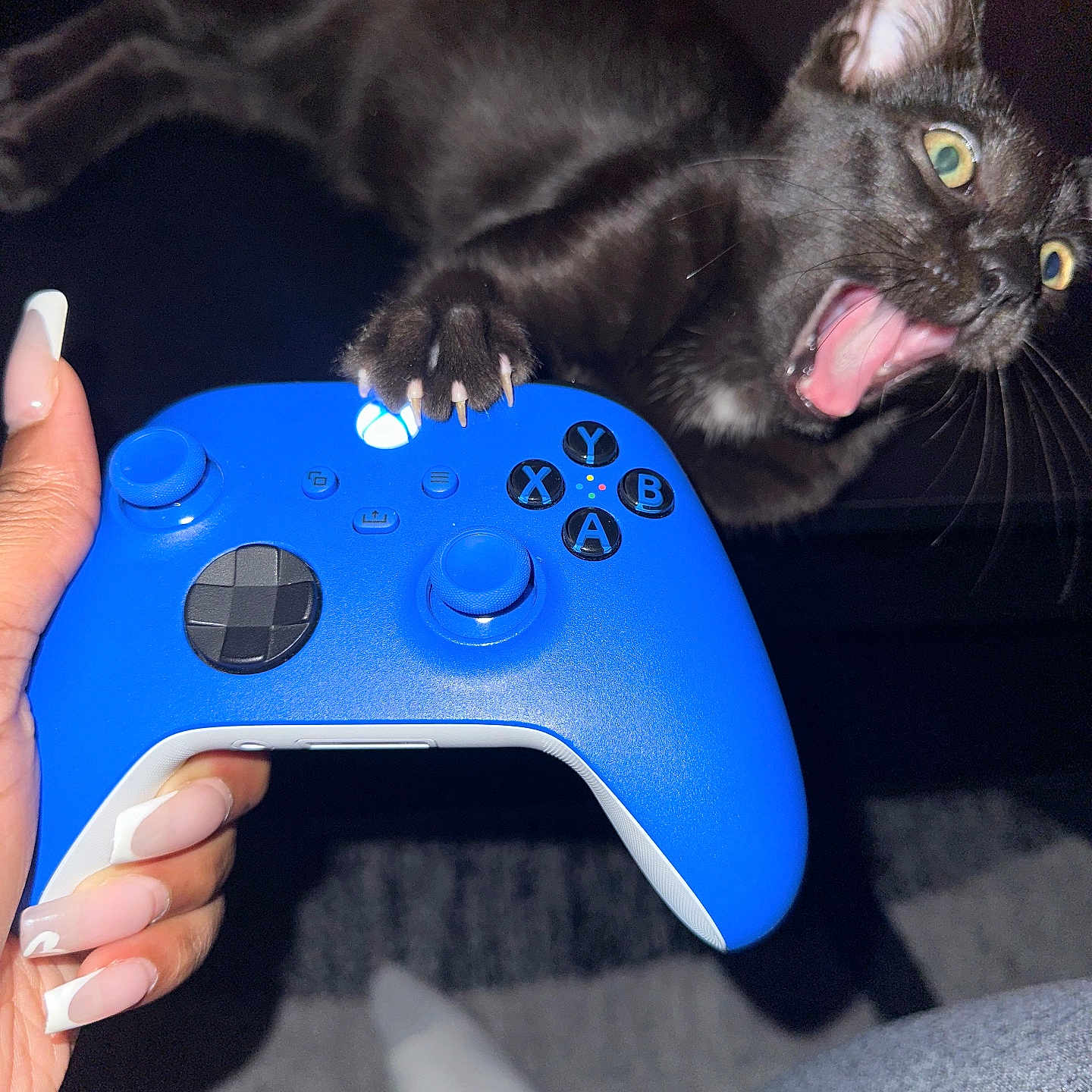 Shadow joined the competition — help win amazing prizes! black_cat, cat, game_controller, xbox_controller, claw, hand, manicured_nails, long_nails, gaming, expression, wide_eyes, open_mouth, person, fingers, indoor, dark_background, socks, jeans, playing, pet