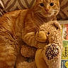 cat, orange_tabby, stuffed_animal, teddy_bear, blanket, patterned_blanket, indoor, relaxed, animal, pet, fur, cute, cozy, lying_down, comfort, toy, newspaper, home, resting, domestic