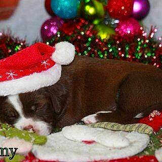 Stormy is registered to the contest to win money with this photo: