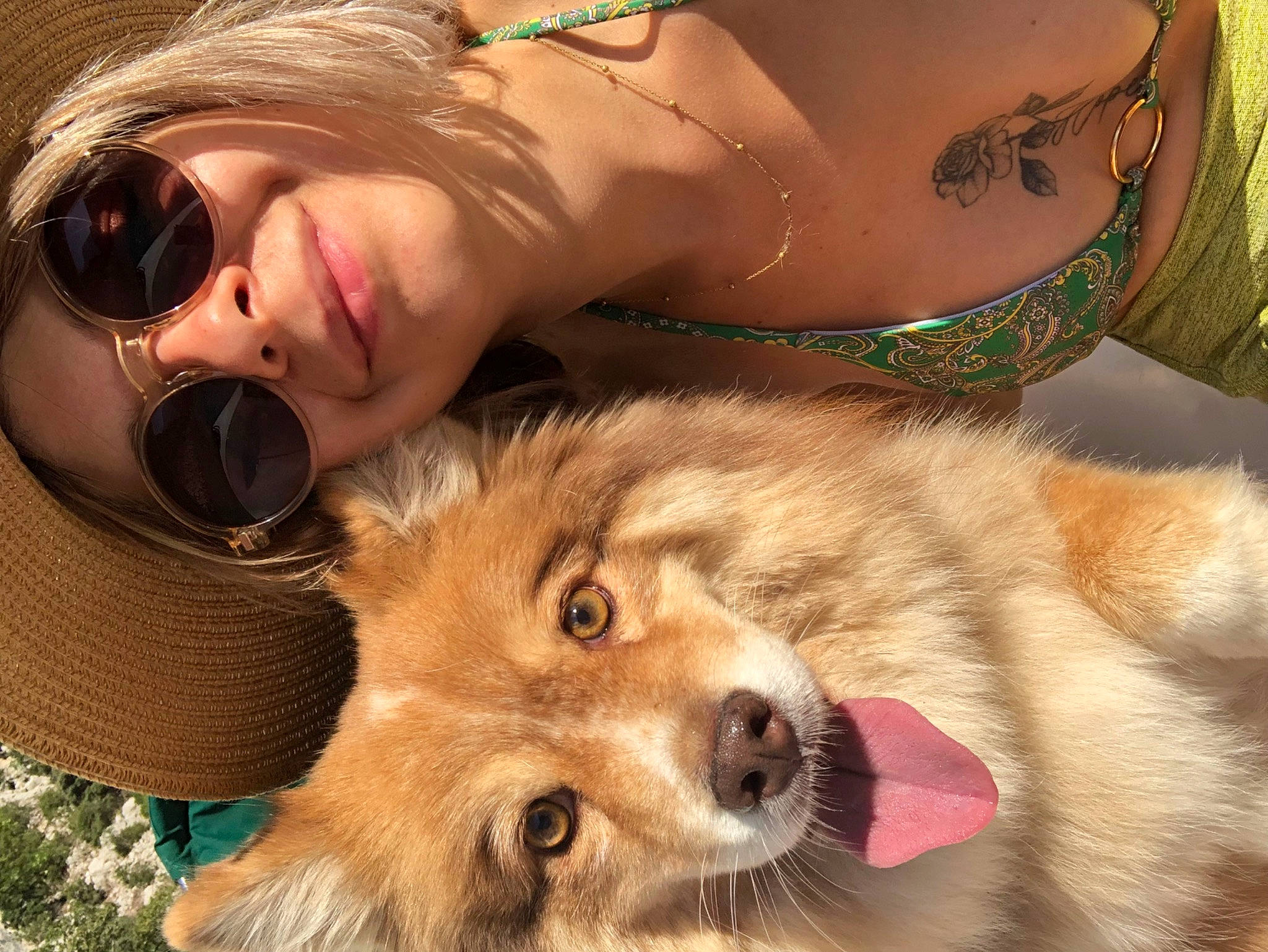 Abby a rejoint le concours — aidez-le/la à gagner de superbes lots ! brown_hair, canidae, carnivore, companion_dog, dog, dog_breed, eyelash, eyewear, fashion_accessory, fawn, fur, goggles, happy, selfie, smile, spitz, sporting_group, sunglasses, vision_care, whiskers