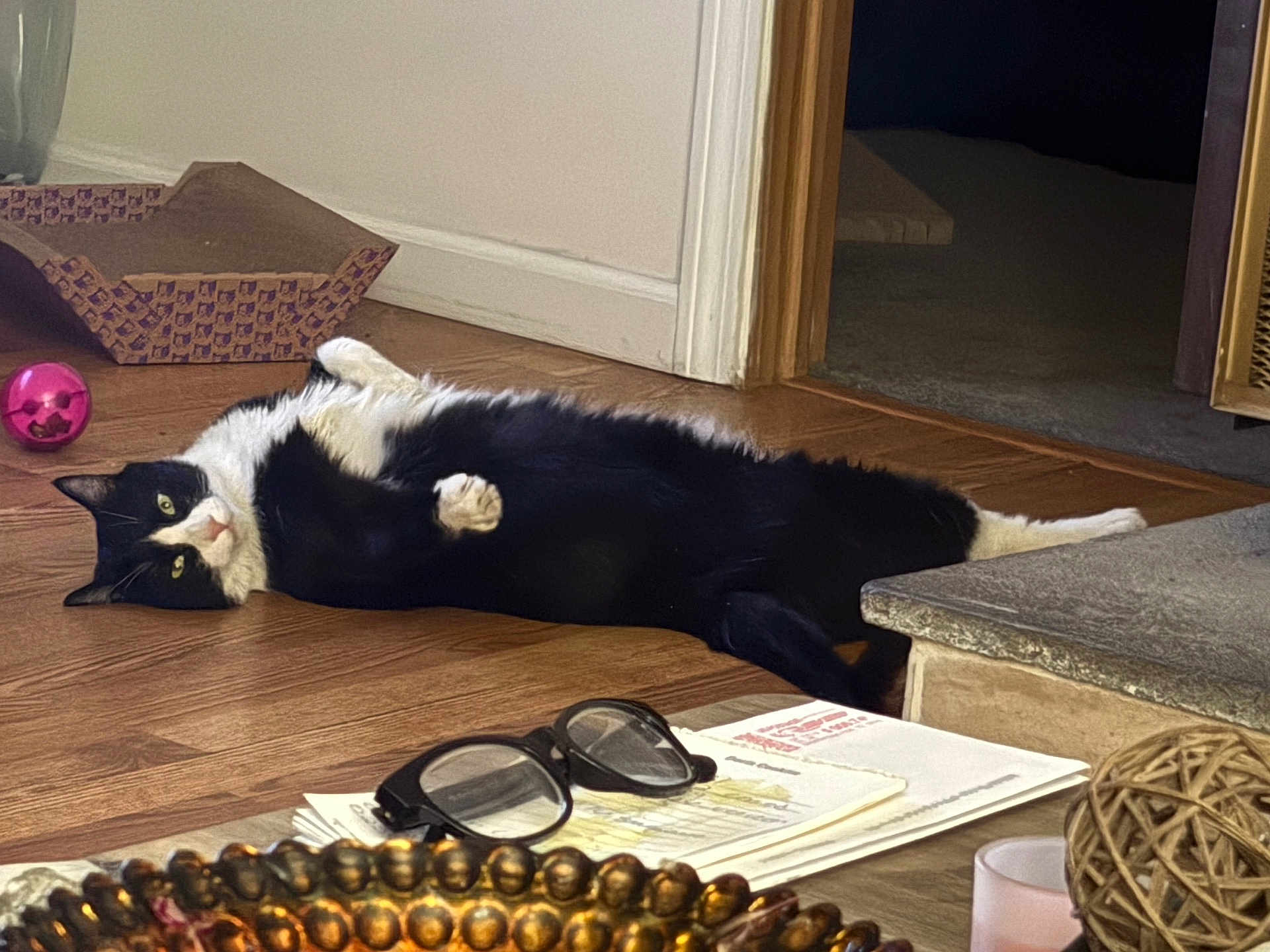 Lolobean is registered to the contest to win money with this photo: cat, cat_toy, cozy, decorative_bowl, doorway, glasses, hardwood_floor, indoor, lying_on_back, pet, pink_ball, playful, portrait, rattan_ball, reading_material, relaxed, scratcher, tabletop, tuxedo_cat, whiskers