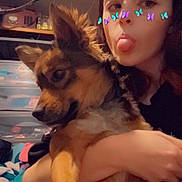 Harley joined the competition — help win amazing prizes! brown_dog, casual, closeup, clutter, colorful_clothing, dog, face, furniture, hair, hand, holding, indoor, long_ears, person, playful, portrait, sitting, storage_bins, tongue_out, young_adult