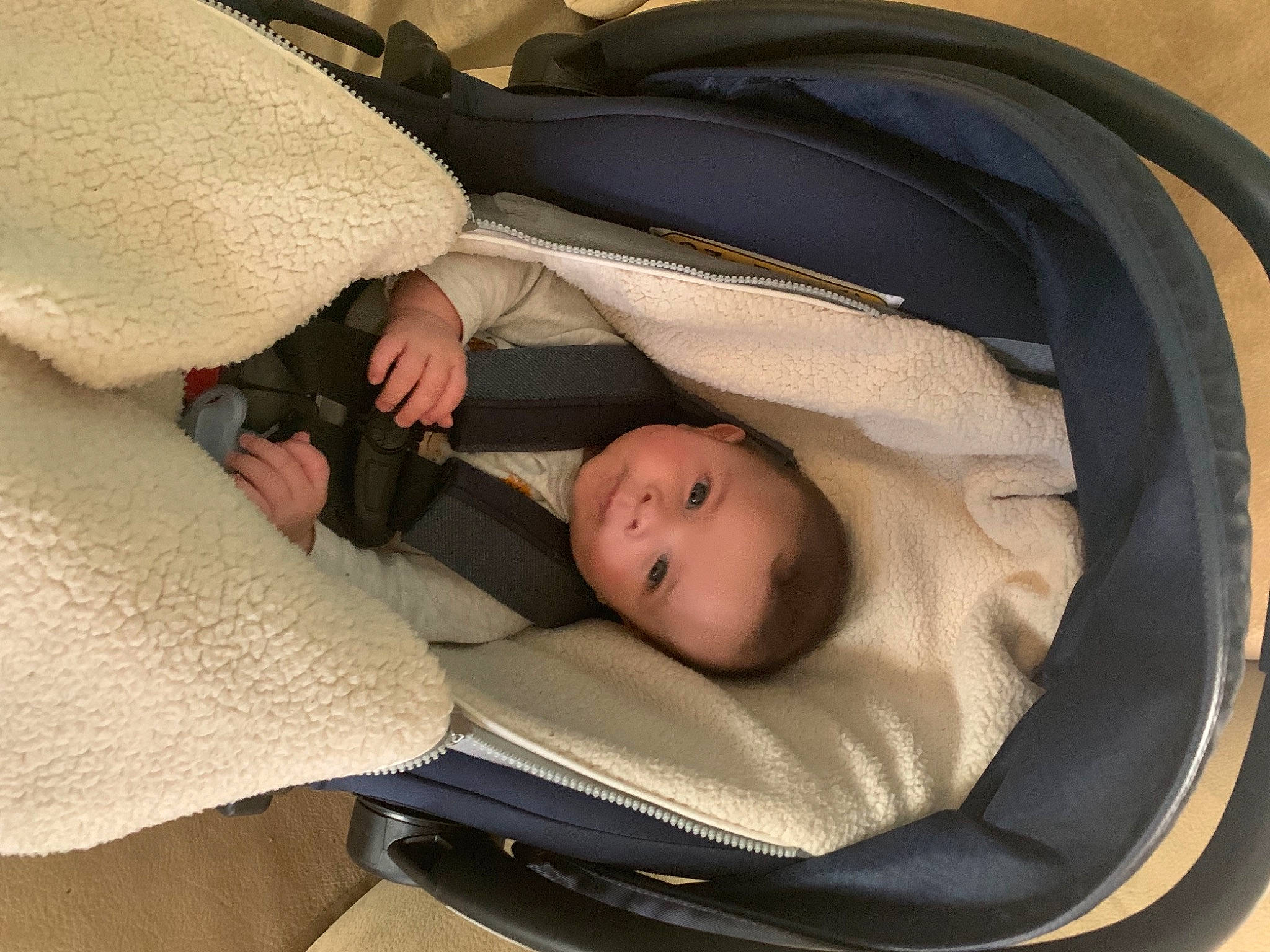 Carson joined the competition — help win amazing prizes! baby, baby_carriage, baby_products, baby_safety, baby_sleeping, baby_toddler_clothing, bedtime, child, comfort, head, infant_bed, linens, mammal, nap, person, room, sitting, sleep, toddler, vertebrate