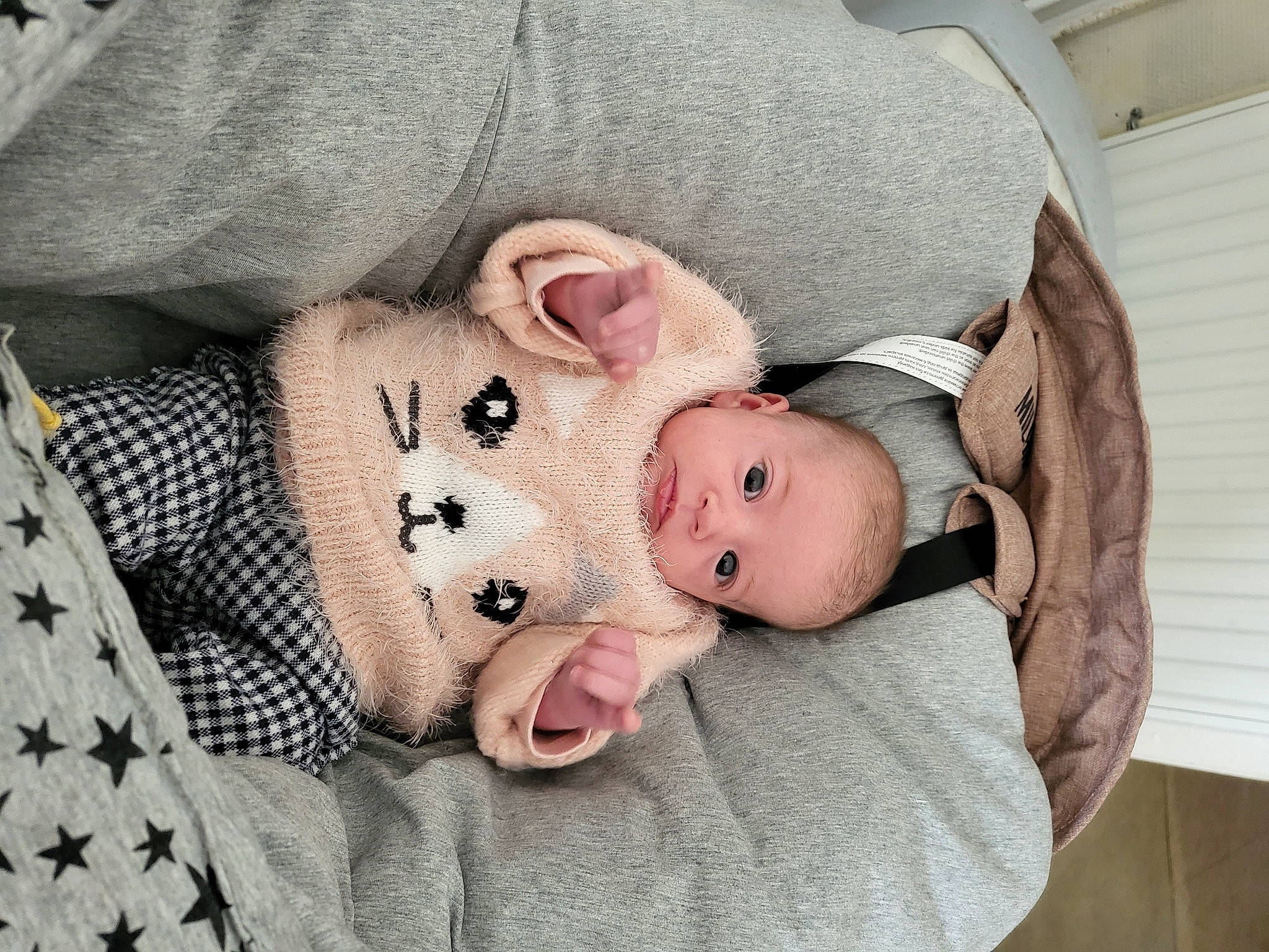 Celeste a rejoint le concours — aidez-le/la à gagner de superbes lots ! arm, baby, baby_sleeping, baby_toddler_clothing, cheek, collar, comfort, doll, eye, fur, human_body, leg, linens, person, skin, sleeve, stuffed_toy, textile, toddler, toy