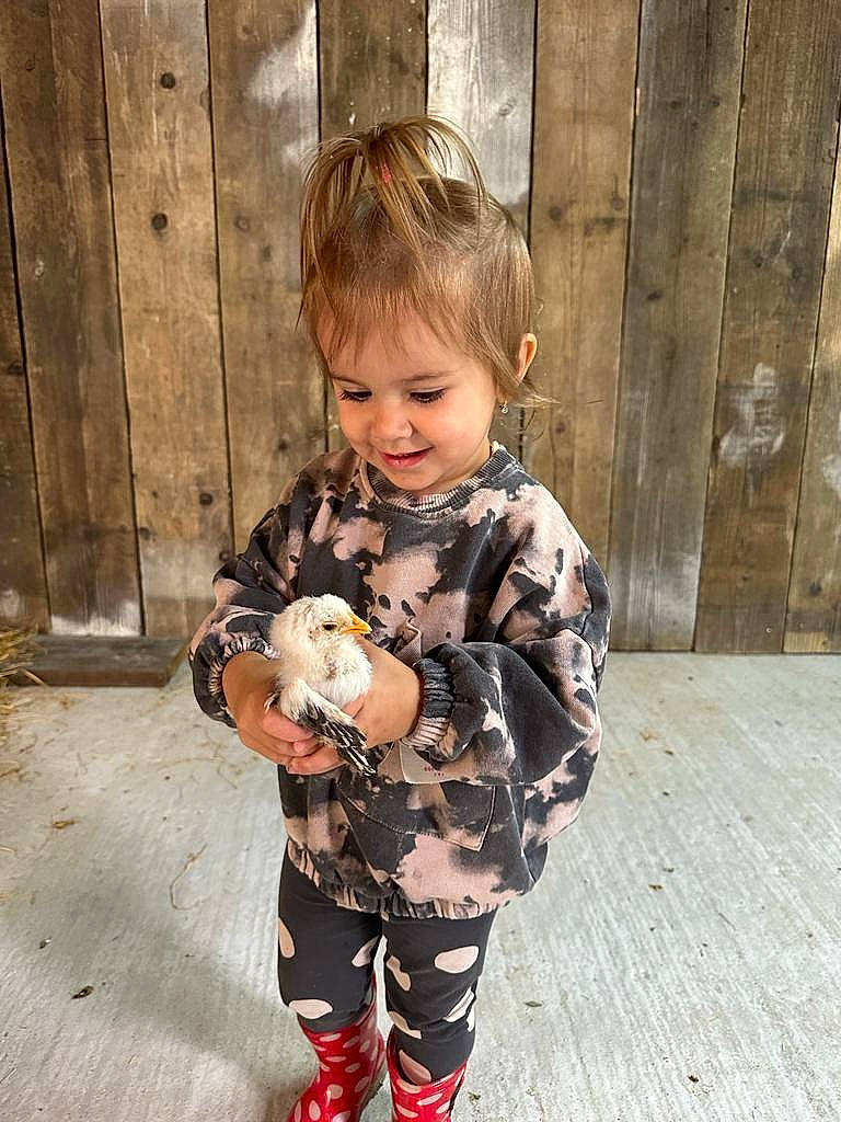 Clara joined the competition — help win amazing prizes! baby, baby_toddler_clothing, brown_hair, child, clothing, dress, fawn, fur, happy, head, human_leg, leg, pattern, person, sleeve, smile, toddler, toy, trunk, waist