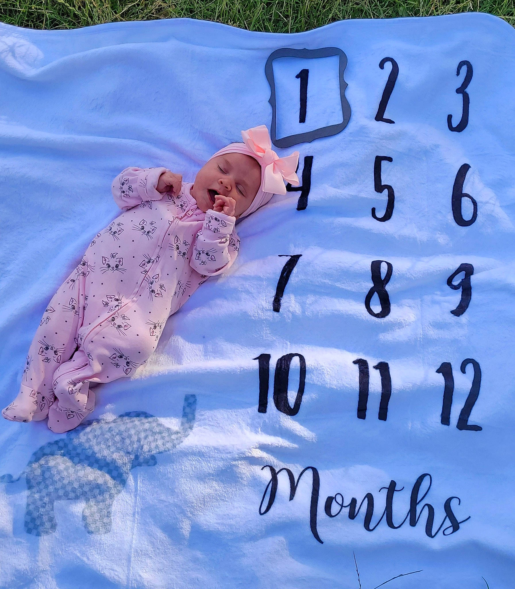 Sophie is registered to the contest to win money with this photo: baby, baby_toddler_clothing, child, electric_blue, event, facial_expression, finger, font, gesture, grass, handwriting, happy, headwear, linens, organism, person, sleeve