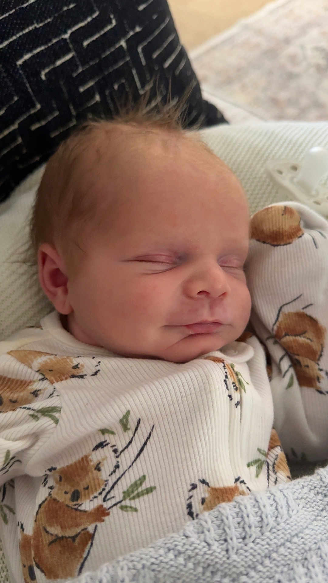 Westen is registered to the contest to win money with this photo: baby, sleeping, infant, koala_print, blanket, pacifier, cute, closeup, face, soft, cozy, child, newborn, resting, clothing, indoor, peaceful, portrait, fabric, comfort
