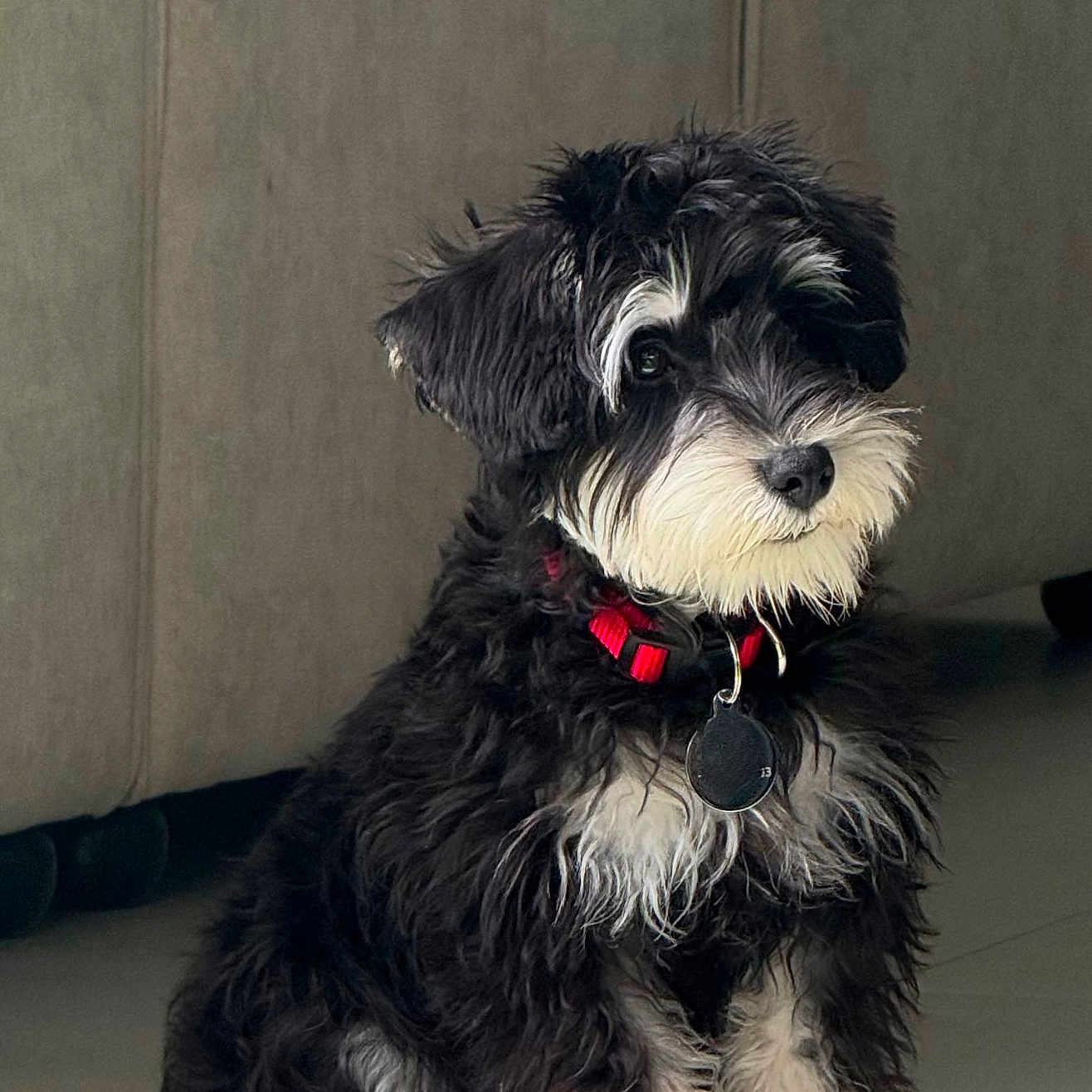 Sam