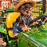 Meeko joined the competition — help win amazing prizes! animal, barn, closeup, cute, denim_overalls, dog, farm, fence, field, grass, green_tractor, hat, outdoor, pet, portrait, puppy, rural, straw_hat, sunny, tractor