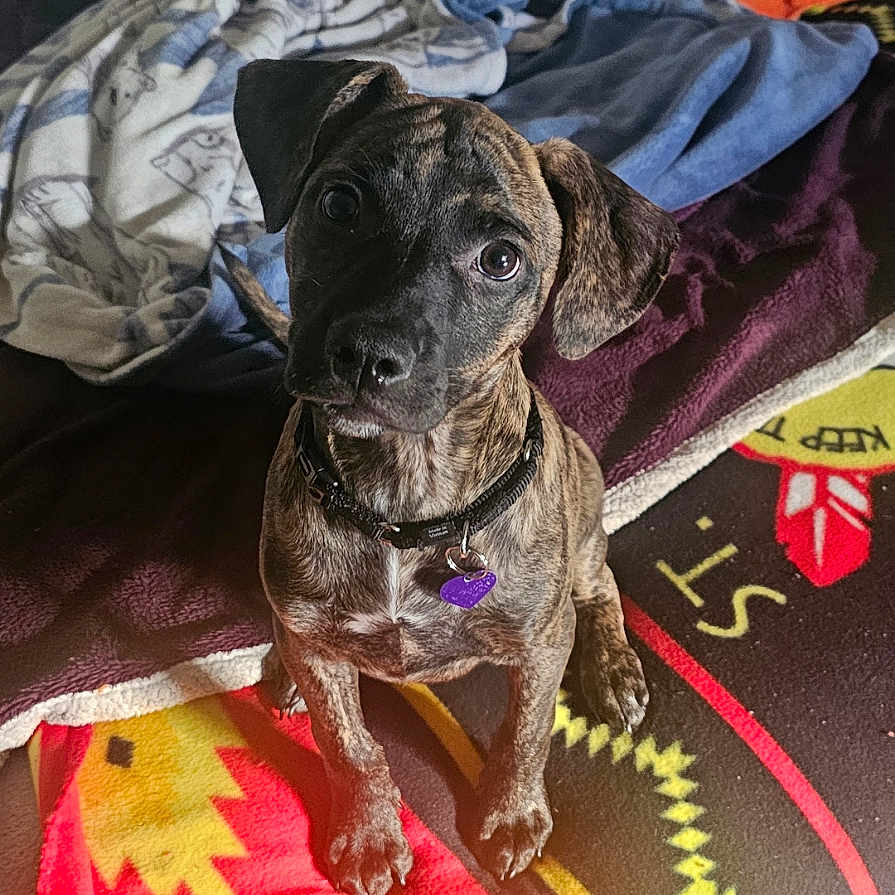 Mi'I