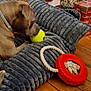 ball, brown_dog, cheerful, cozy, cushion, dog, floor, holiday_gifts, home_interior, indoor, pet, pet_bed, pet_toy, playful, relaxation, rope_toy, textured_cushion, toy, wooden_floor, wrapped_presents