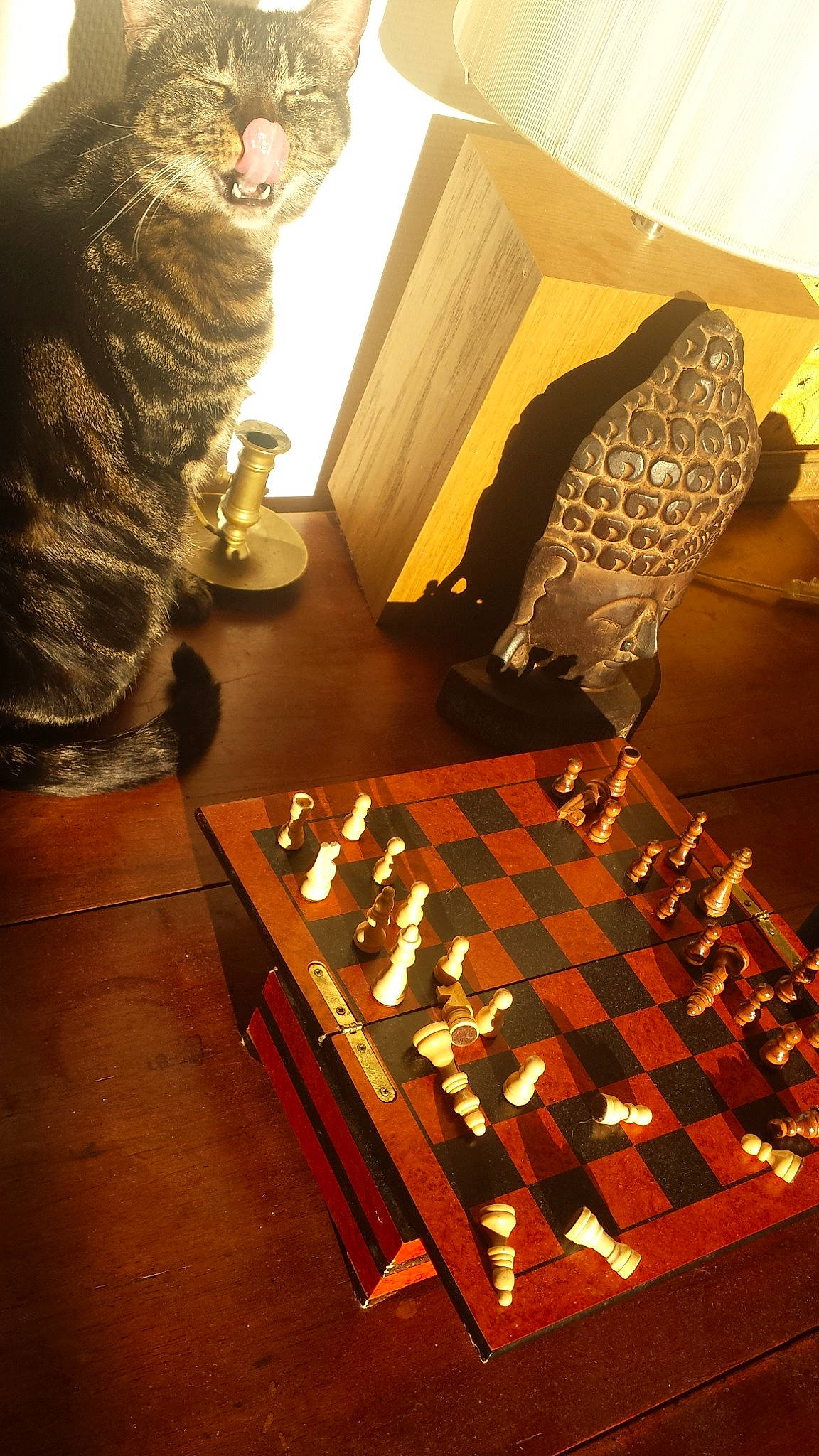 Loli a rejoint le concours — aidez-le/la à gagner de superbes lots ! board_game, chess, chessboard, furniture, games, hardwood, indoor_games_and_sports, recreation, room, table, tabletop_game, wood