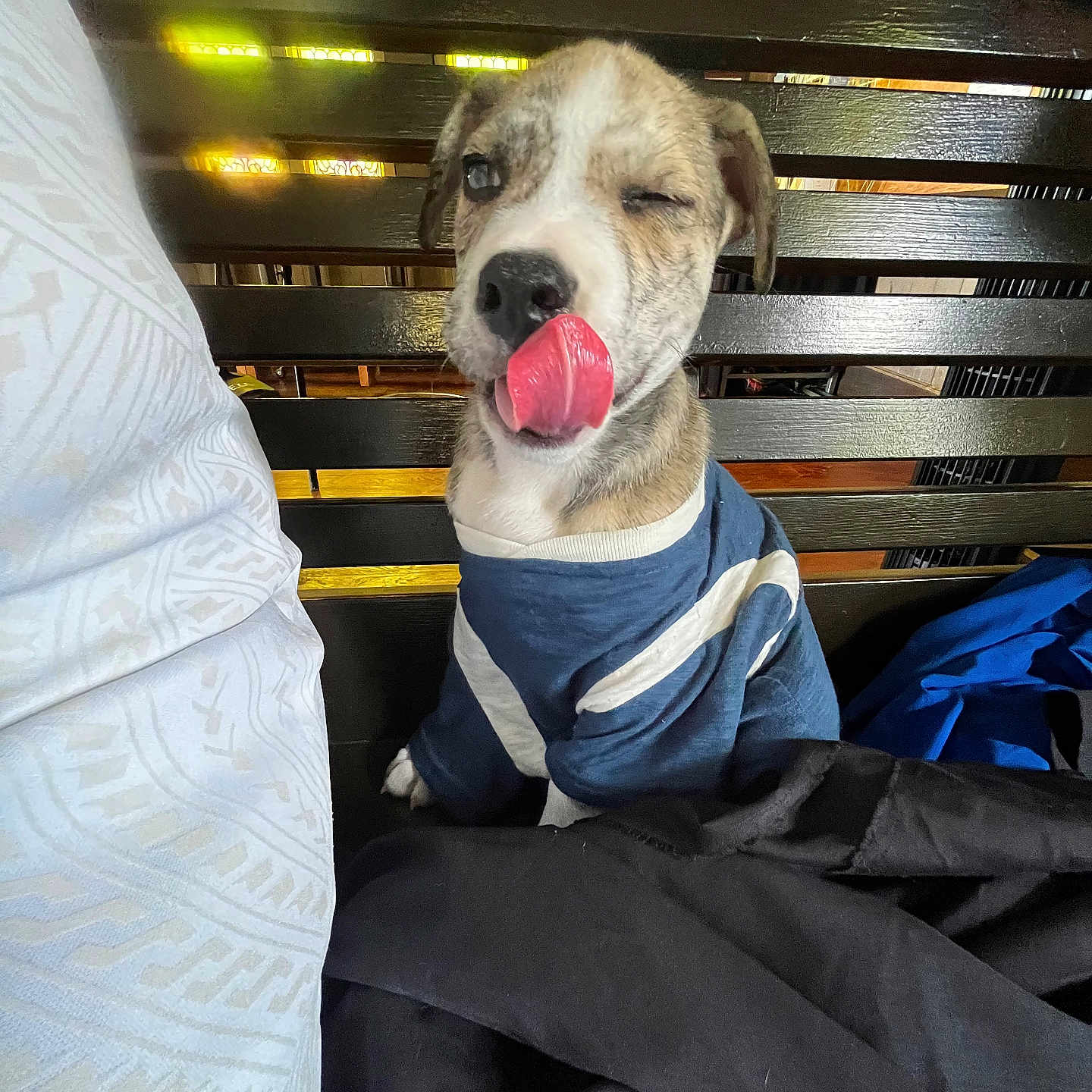 Diesel