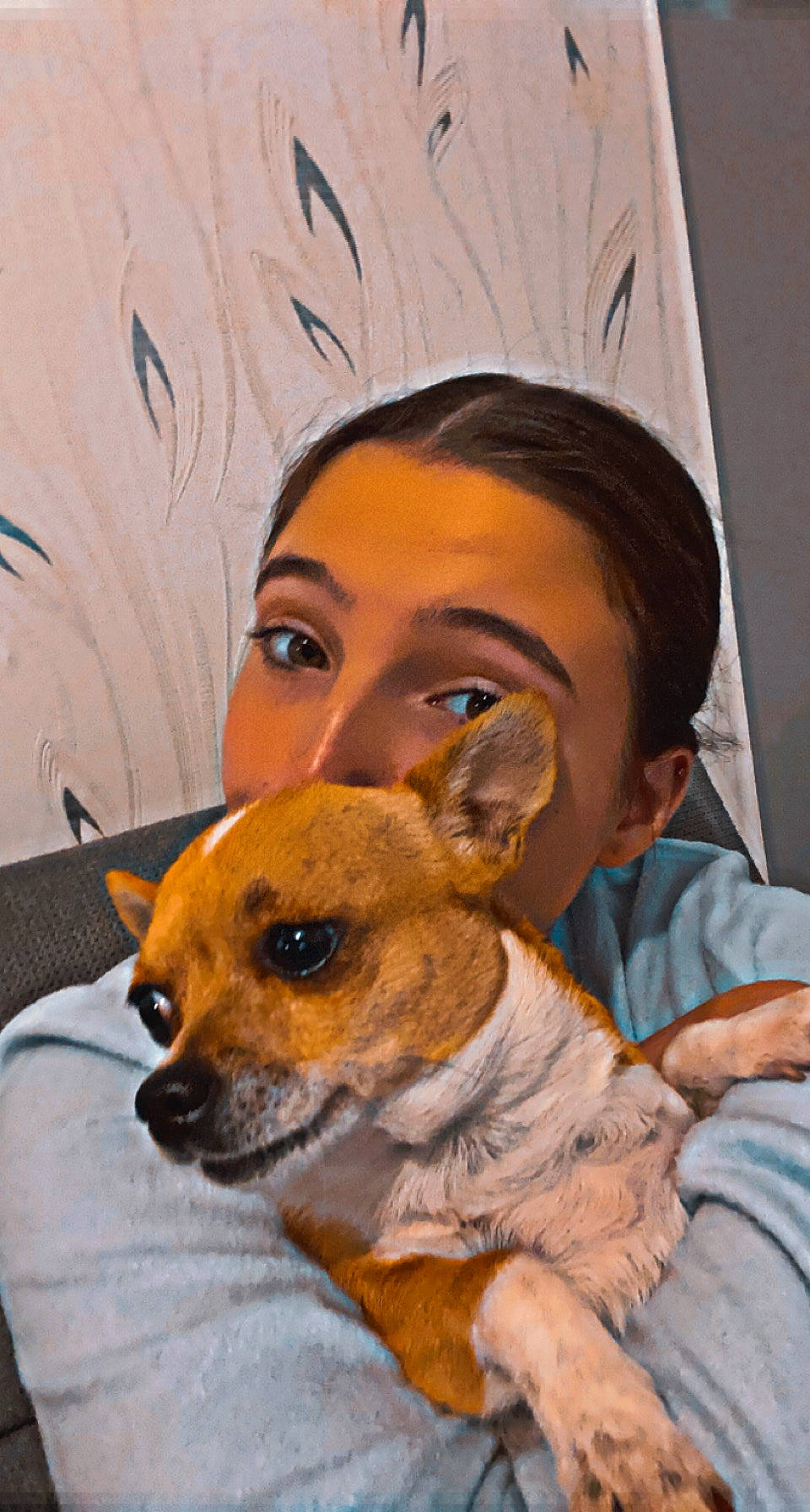 Rubby a rejoint le concours — aidez-le/la à gagner de superbes lots ! carnivore, chihuahua, companion_dog, dog, dog_breed, ear, eye, eyelash, eyewear, fawn, fur, happy, mouth, nose, organ, selfie, skin, snout, toy_dog, whiskers