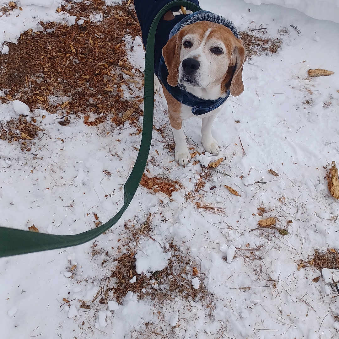Roscoe