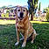 Marley